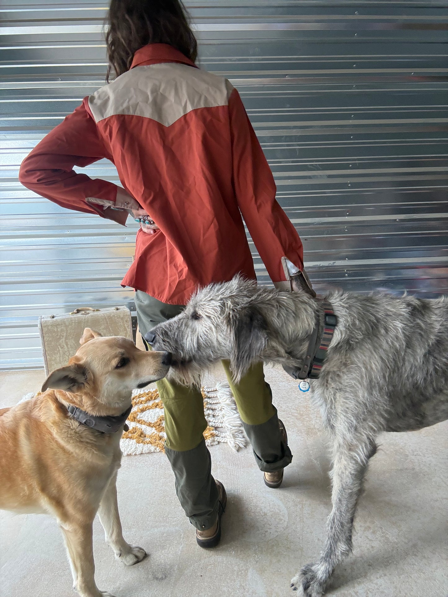 {the western wind breaker}