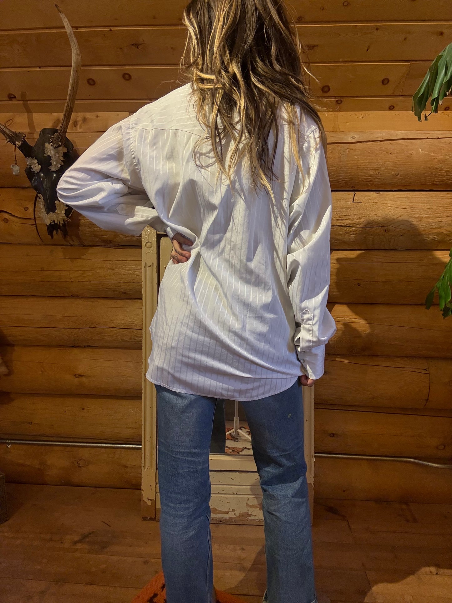 {the white stallion}