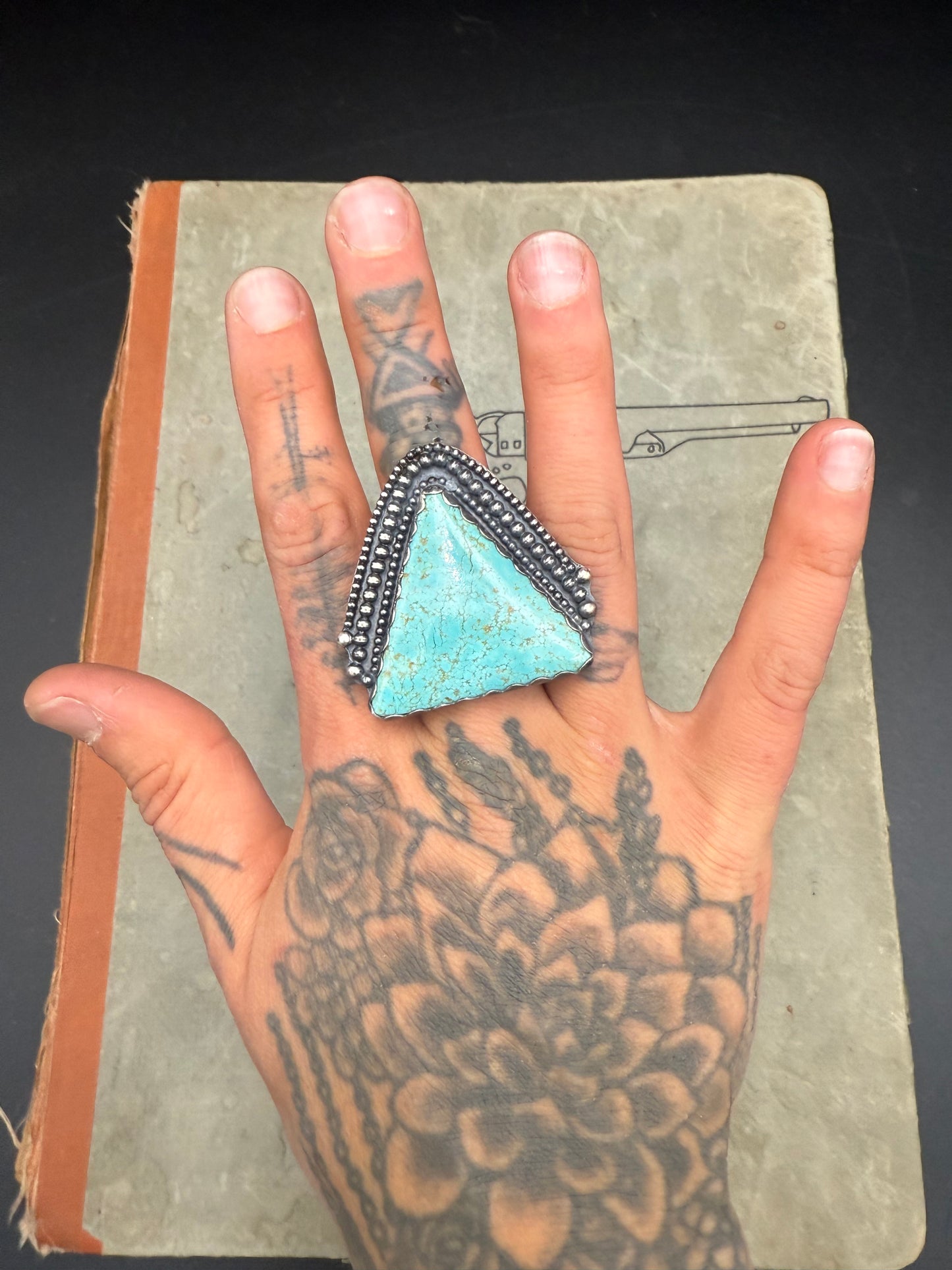 {the rogue starburst}