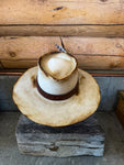 {the westerner}