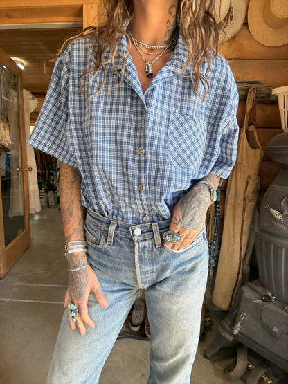 {the western picnic}