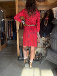 {the red hot}