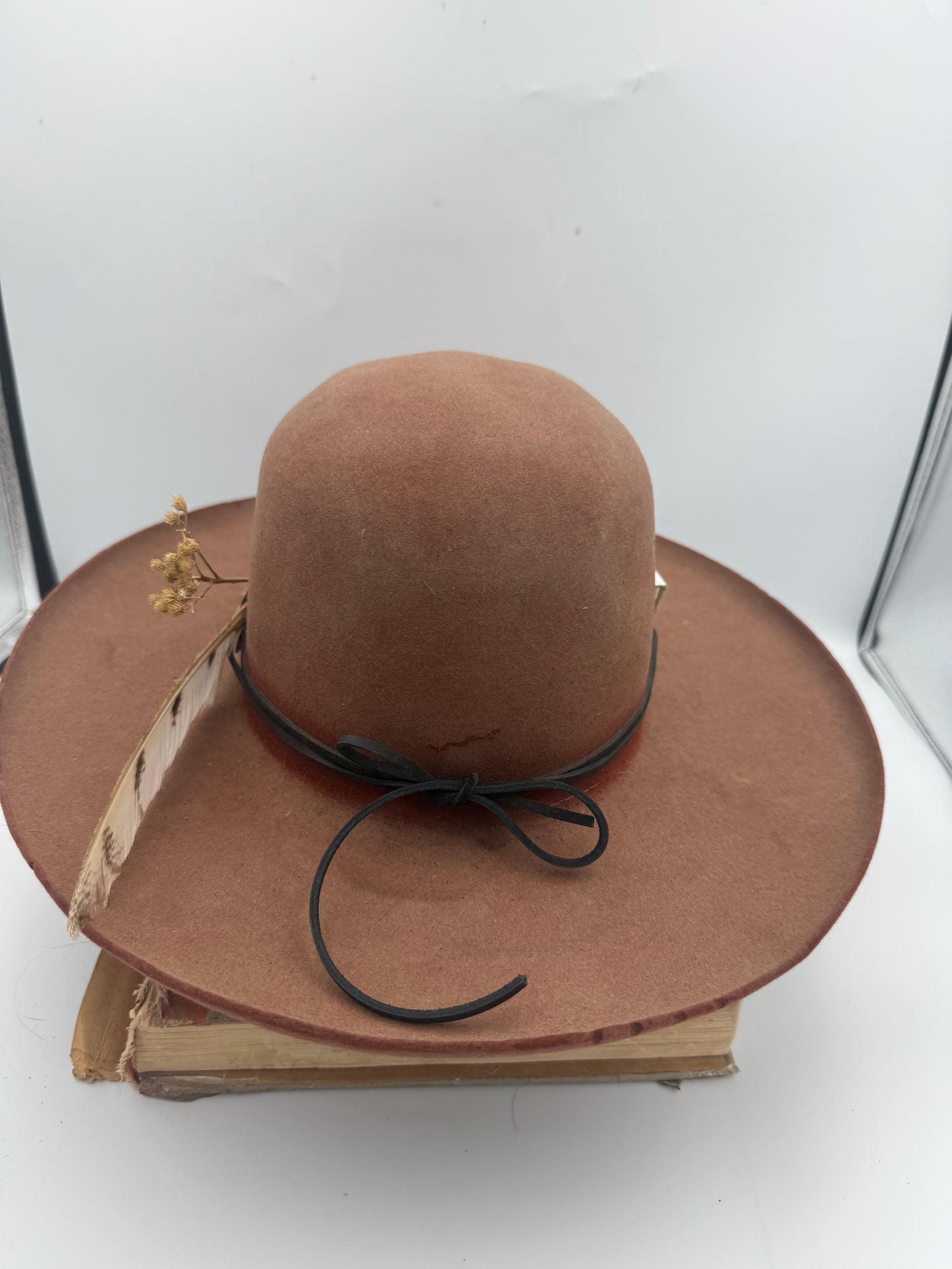 {the brimstoned bandit} #1