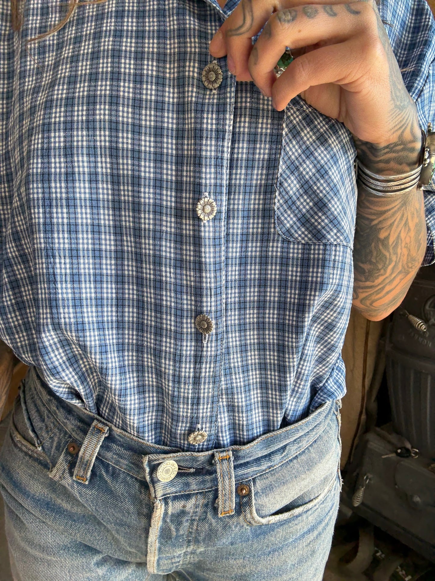 {the western picnic}