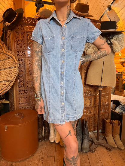 {the stitched daisy}