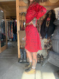 {the red hot}