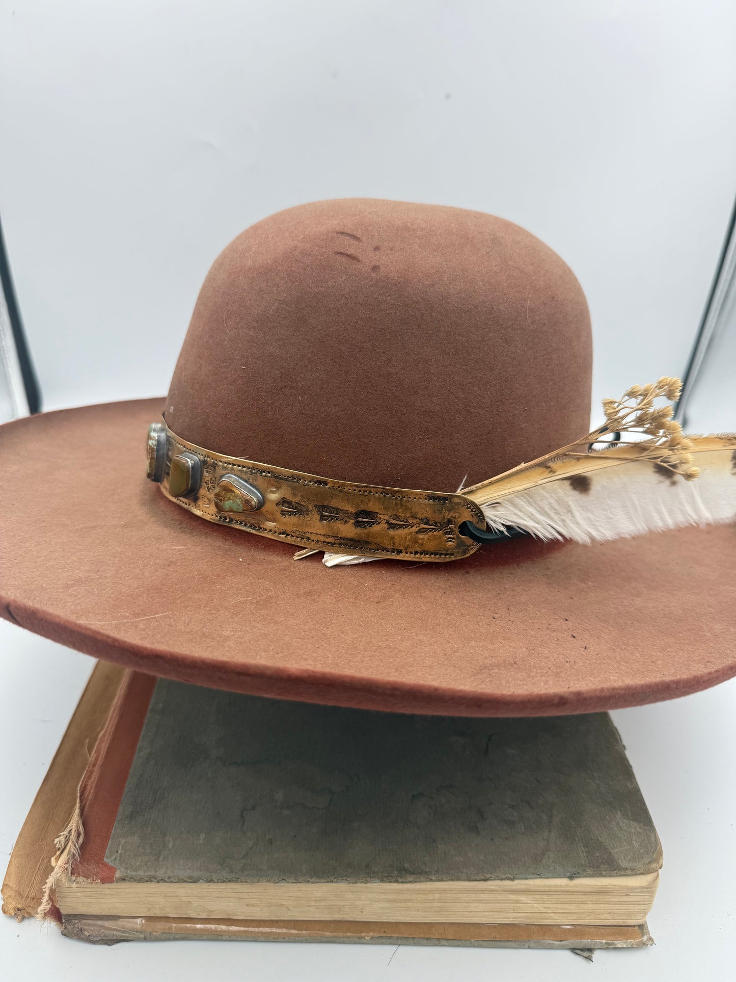 {the brimstoned bandit} #2