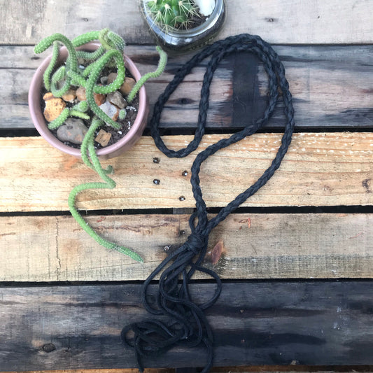 the midnight Josephine